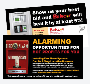 Briscoe Protective Systems — 6×11 Postcard