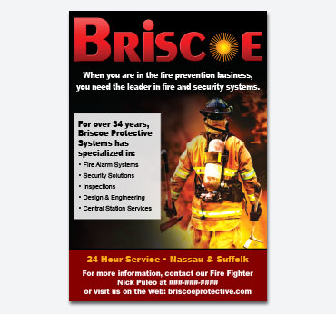 Briscoe Protective Systems — Print Advertisement