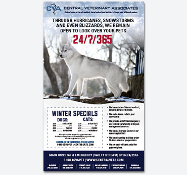 Central Veterinary Associates — Blizzard Campaign Print Ad